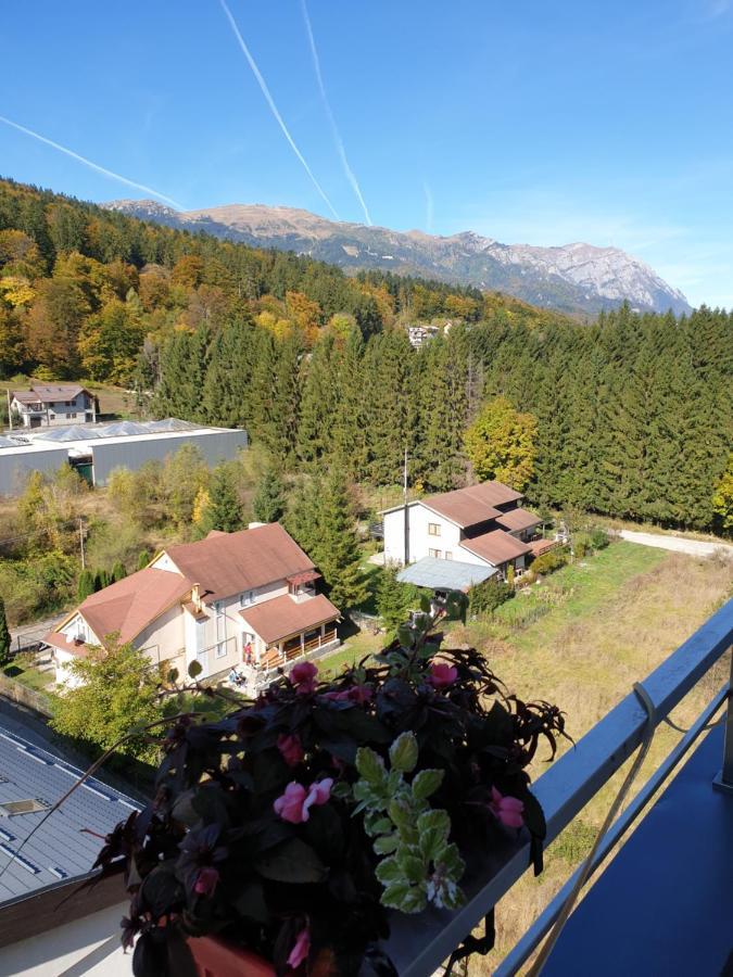 Sophie Apartament Apartment Sinaia Exterior photo