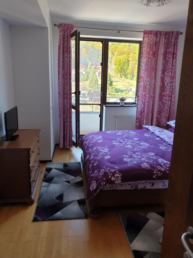 Sophie Apartament Apartment Sinaia Exterior photo