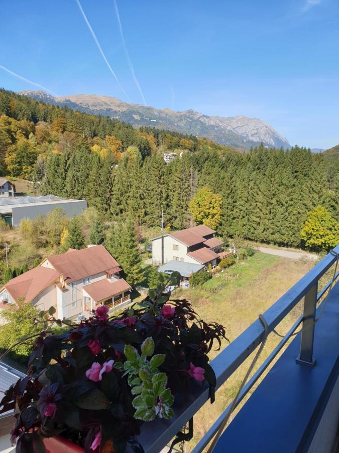 Sophie Apartament Apartment Sinaia Exterior photo