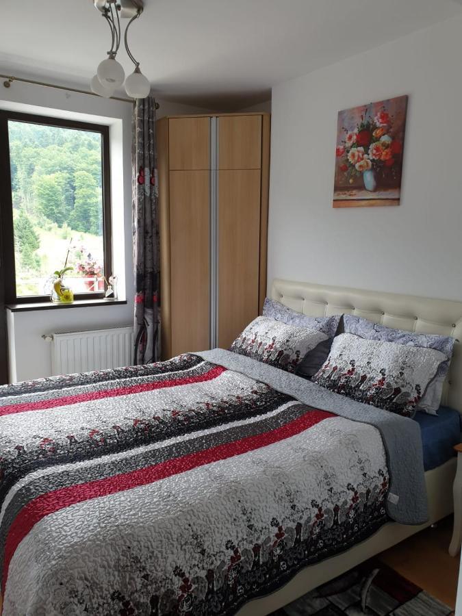Sophie Apartament Apartment Sinaia Exterior photo