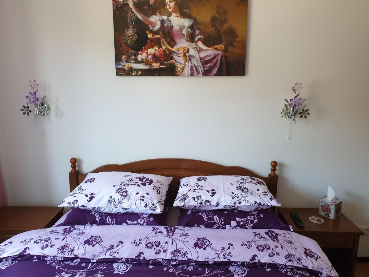 Sophie Apartament Apartment Sinaia Exterior photo