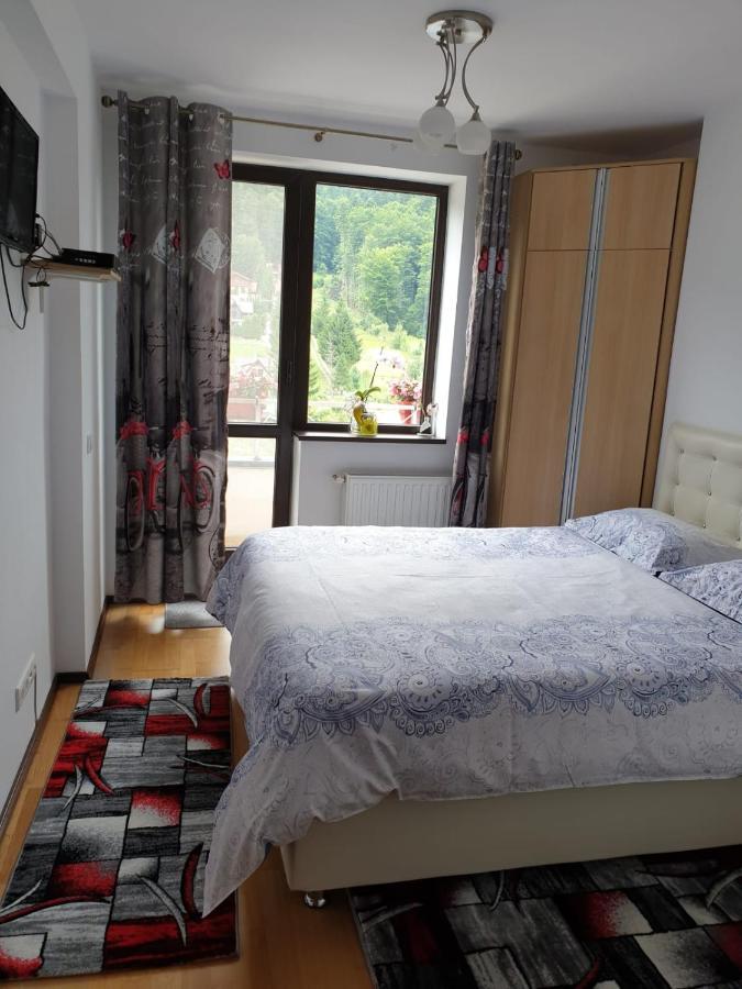 Sophie Apartament Apartment Sinaia Exterior photo