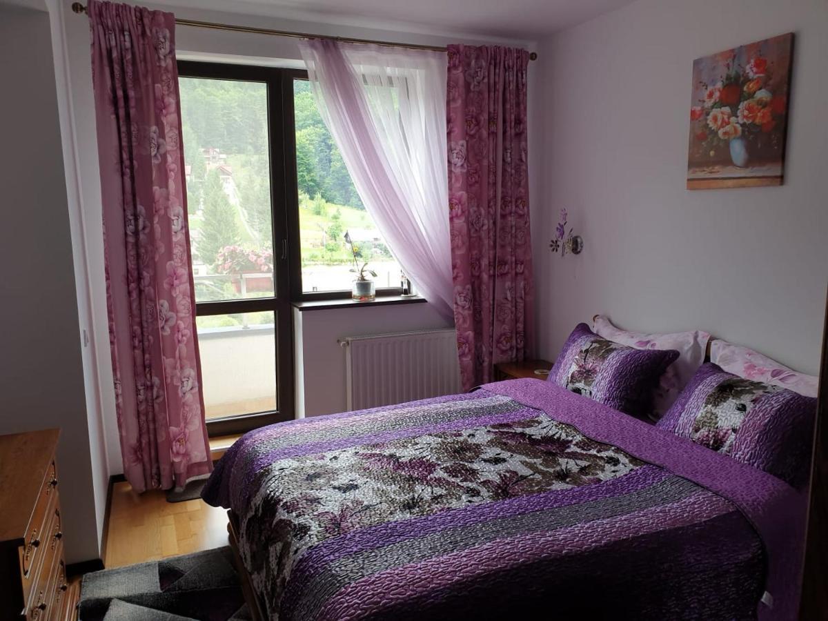 Sophie Apartament Apartment Sinaia Exterior photo