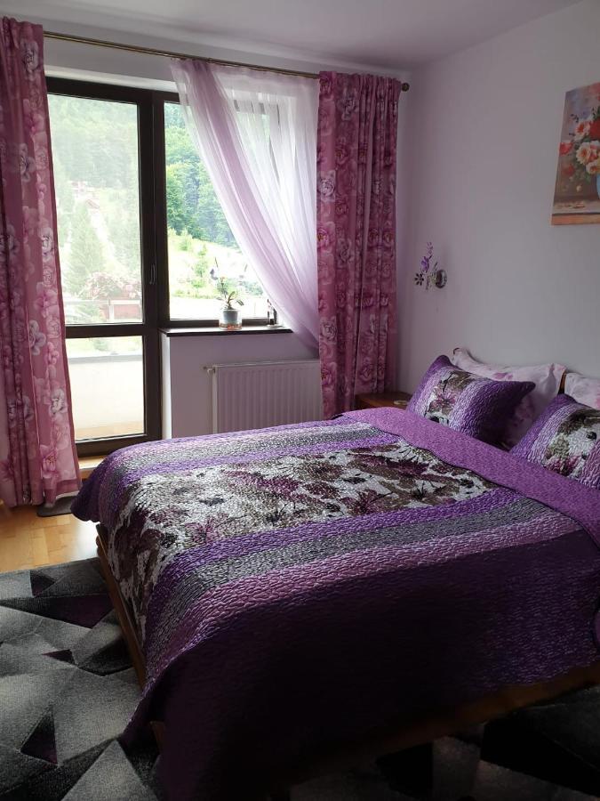 Sophie Apartament Apartment Sinaia Exterior photo